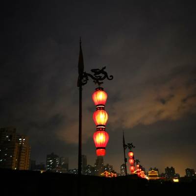 宝丽来模特