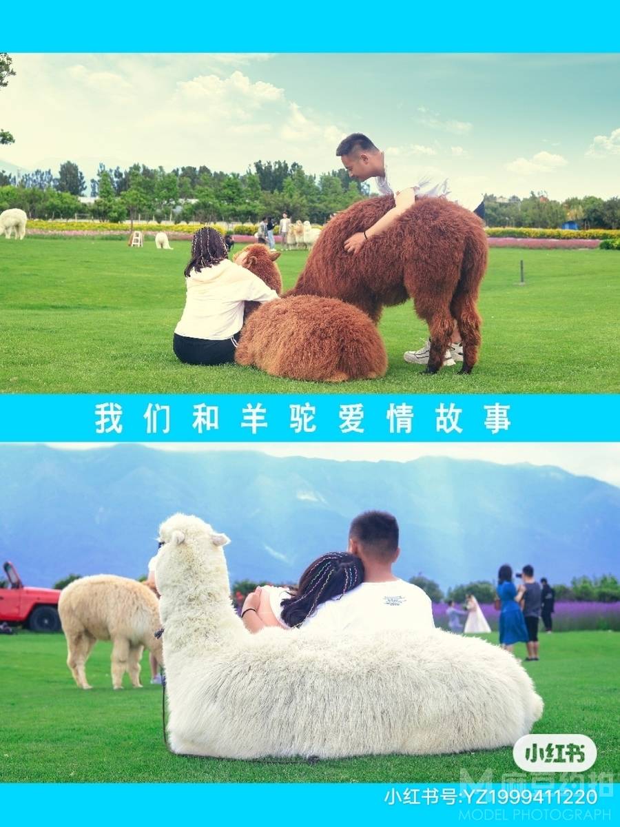 情侣模特