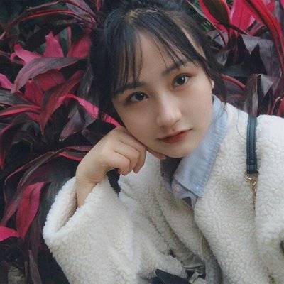 宝丽来模特