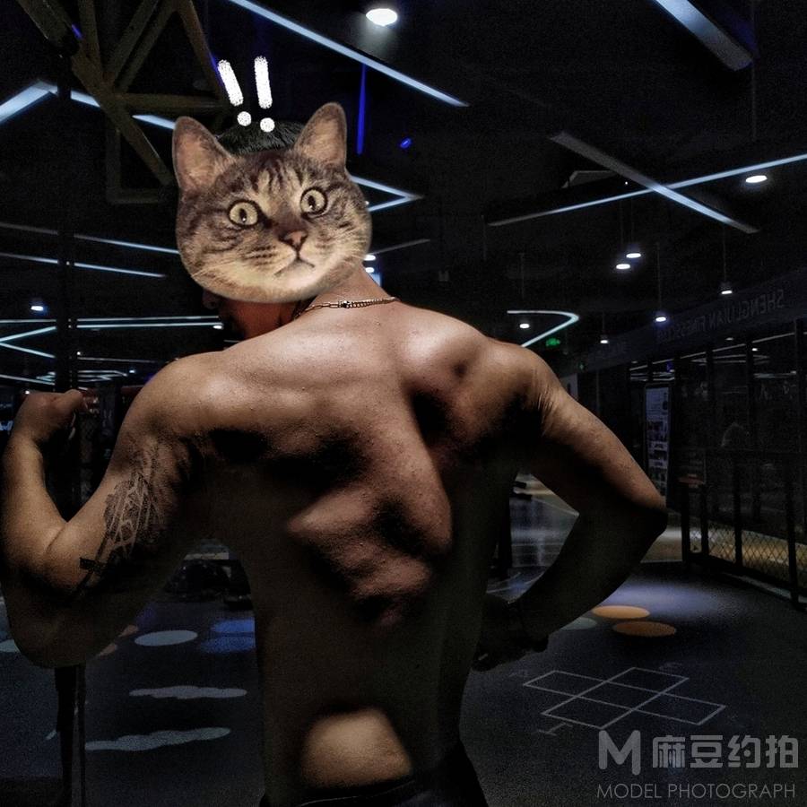 情侣模特