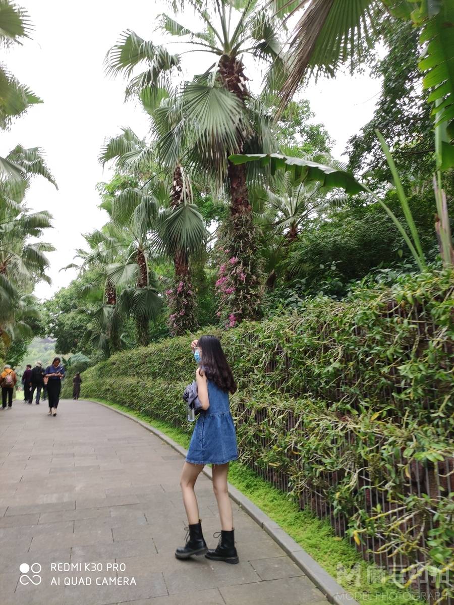 清新模特
