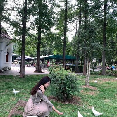 韩系模特