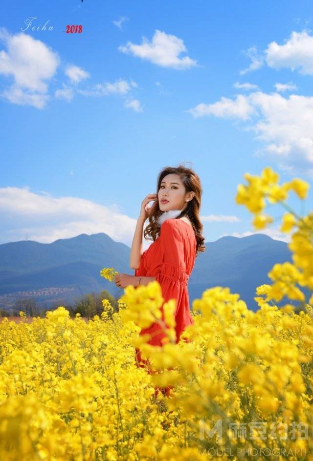 清新模特