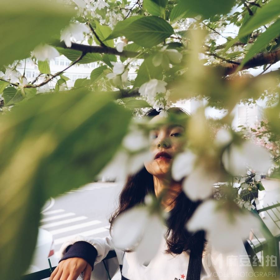 宝丽来模特