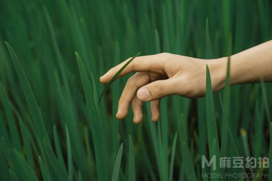 胶片模特
