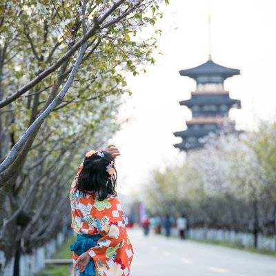 和服模特