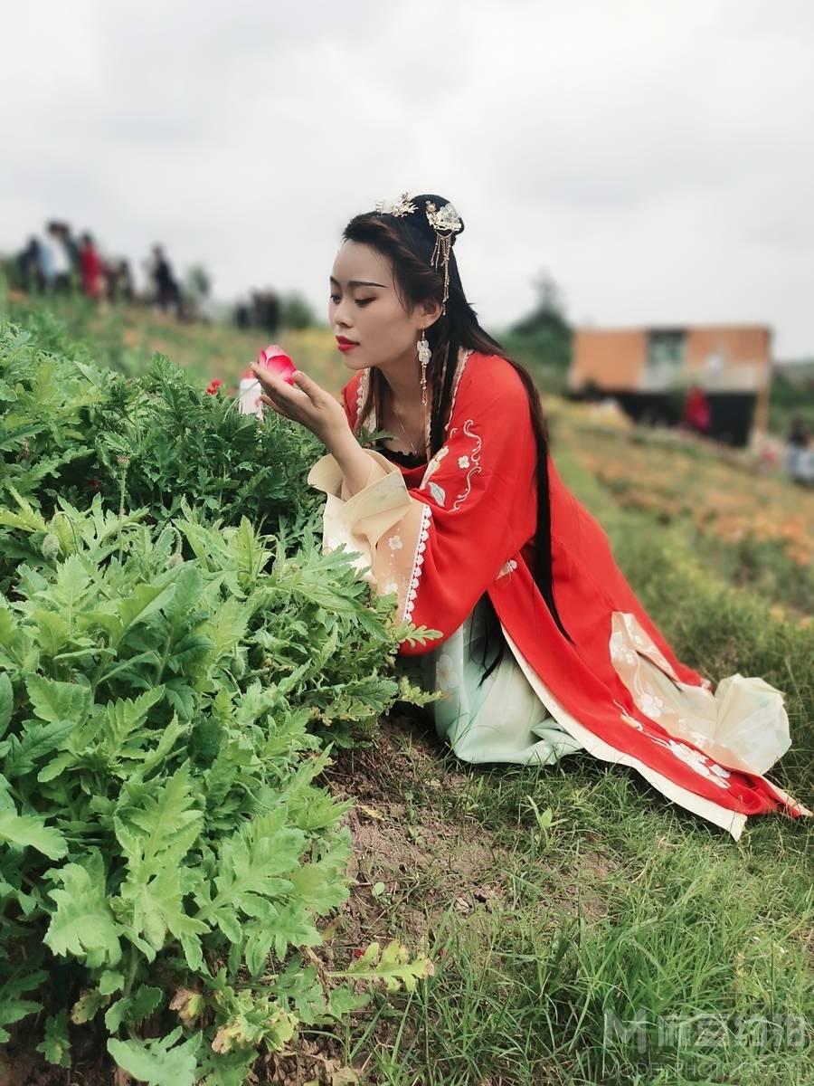 商务模特