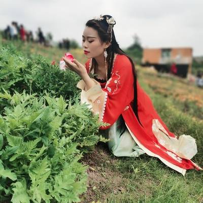 商务模特