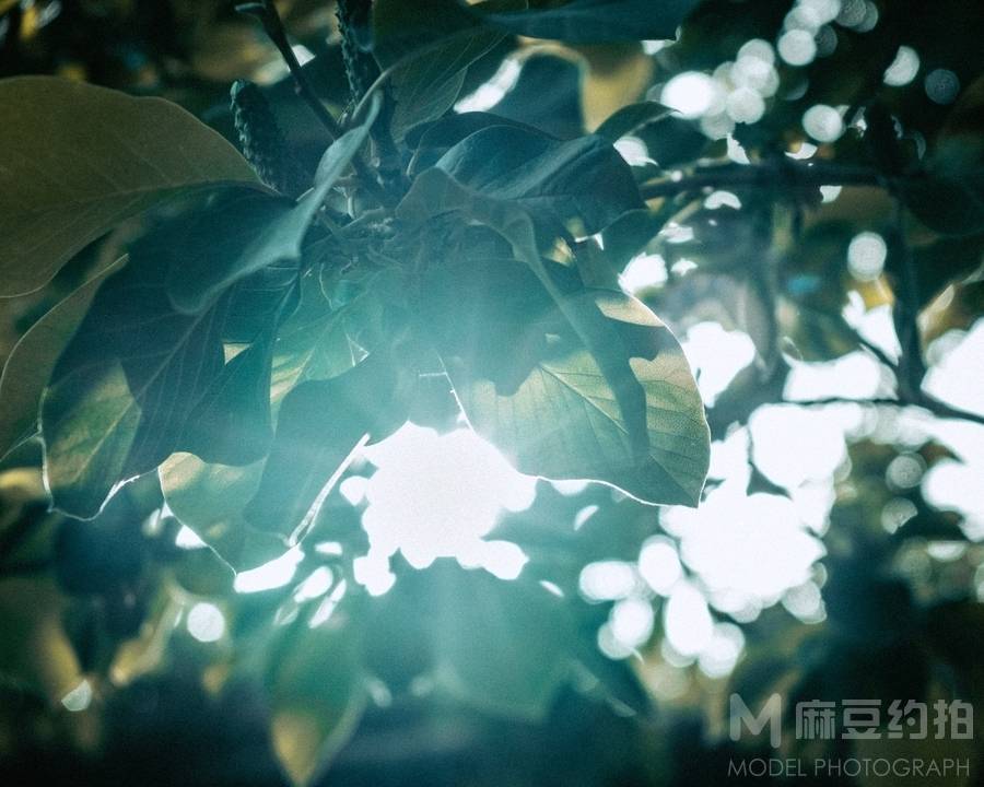 纪实模特