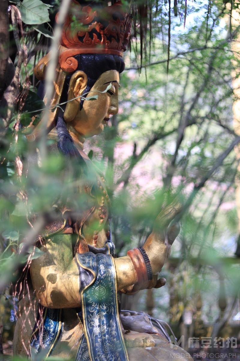 纪实模特