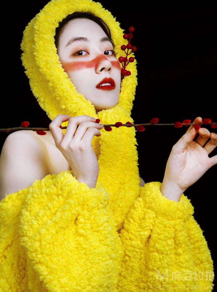 胶片模特