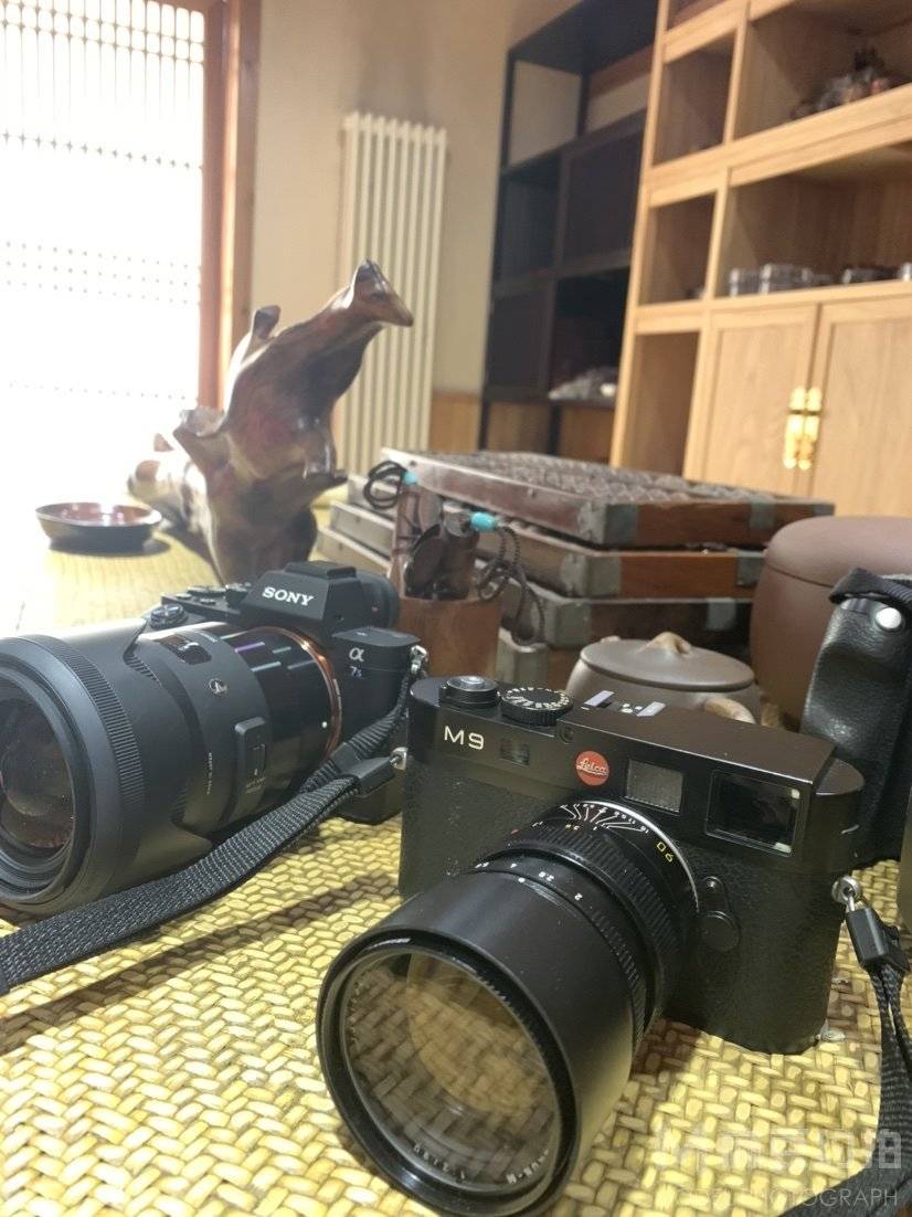 黑白模特