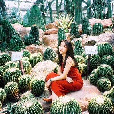 胶片模特