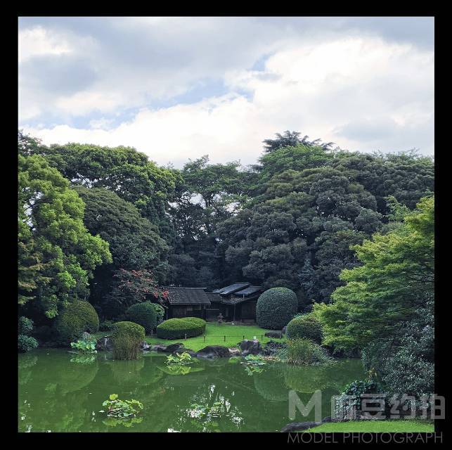 胶片模特