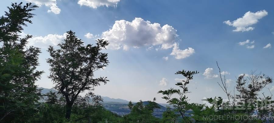 纪实模特