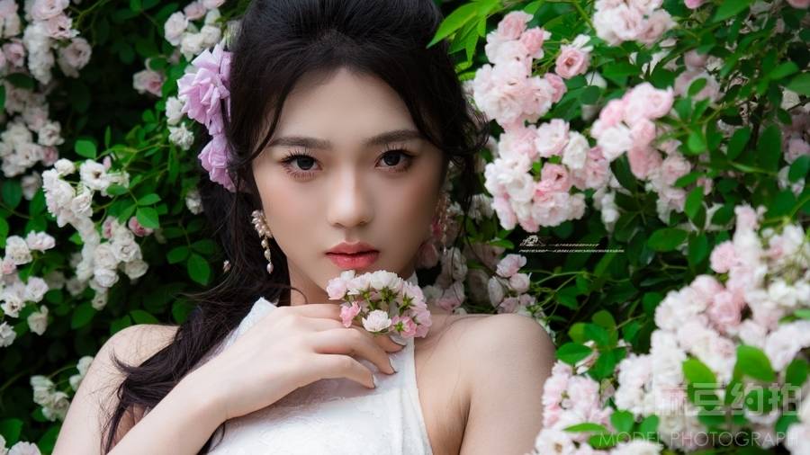 清新模特