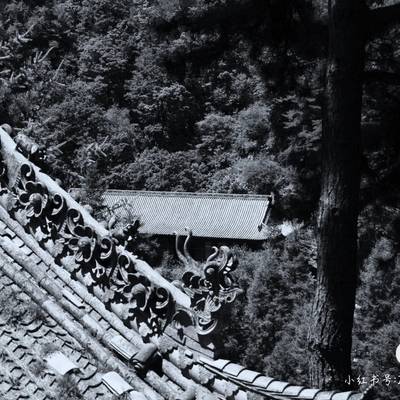黑白模特