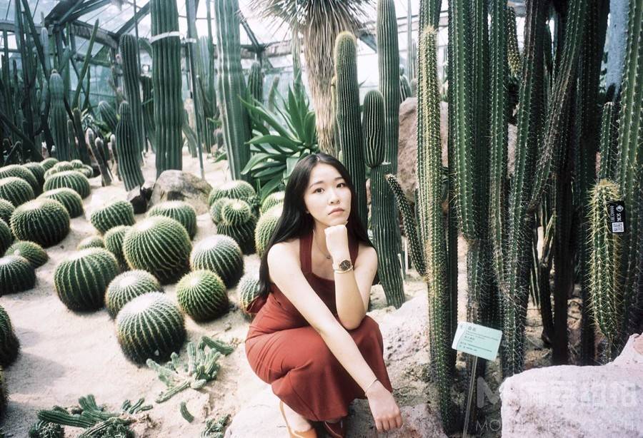 胶片模特