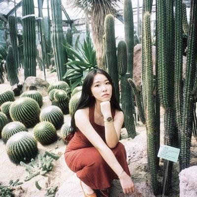胶片模特