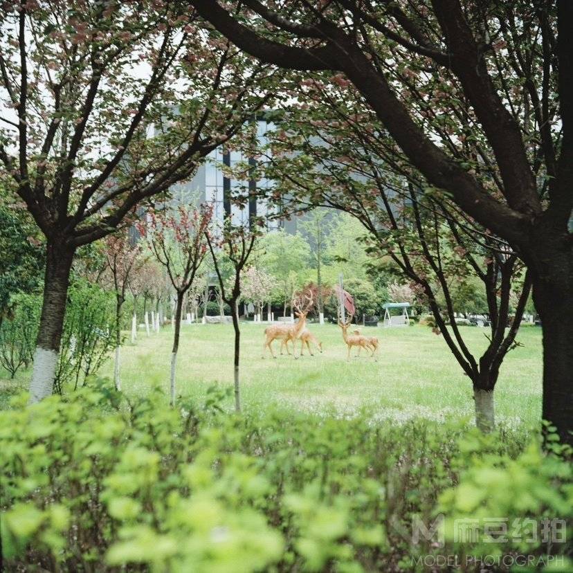 胶片模特