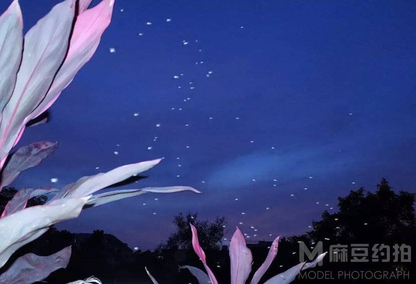 夜景模特