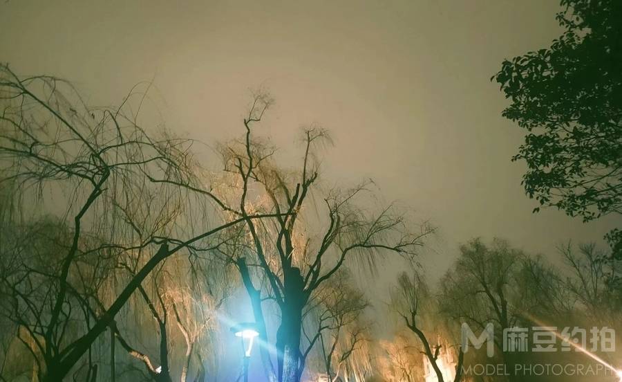 夜景模特