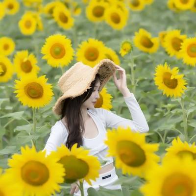 清新模特