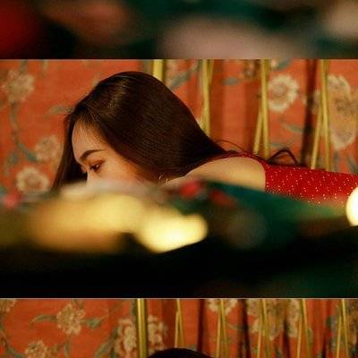 胶片模特