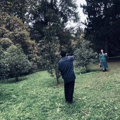纪实模特