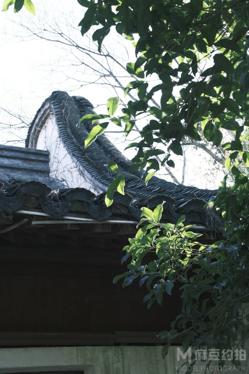 复古模特