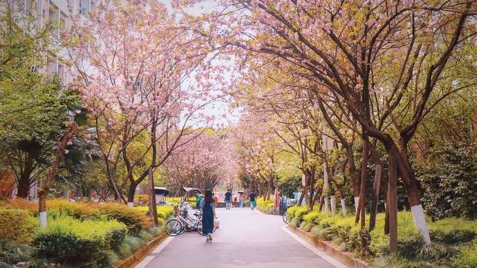 长江师范学院