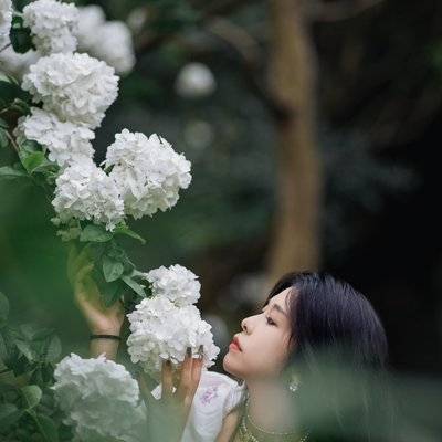 韩系模特