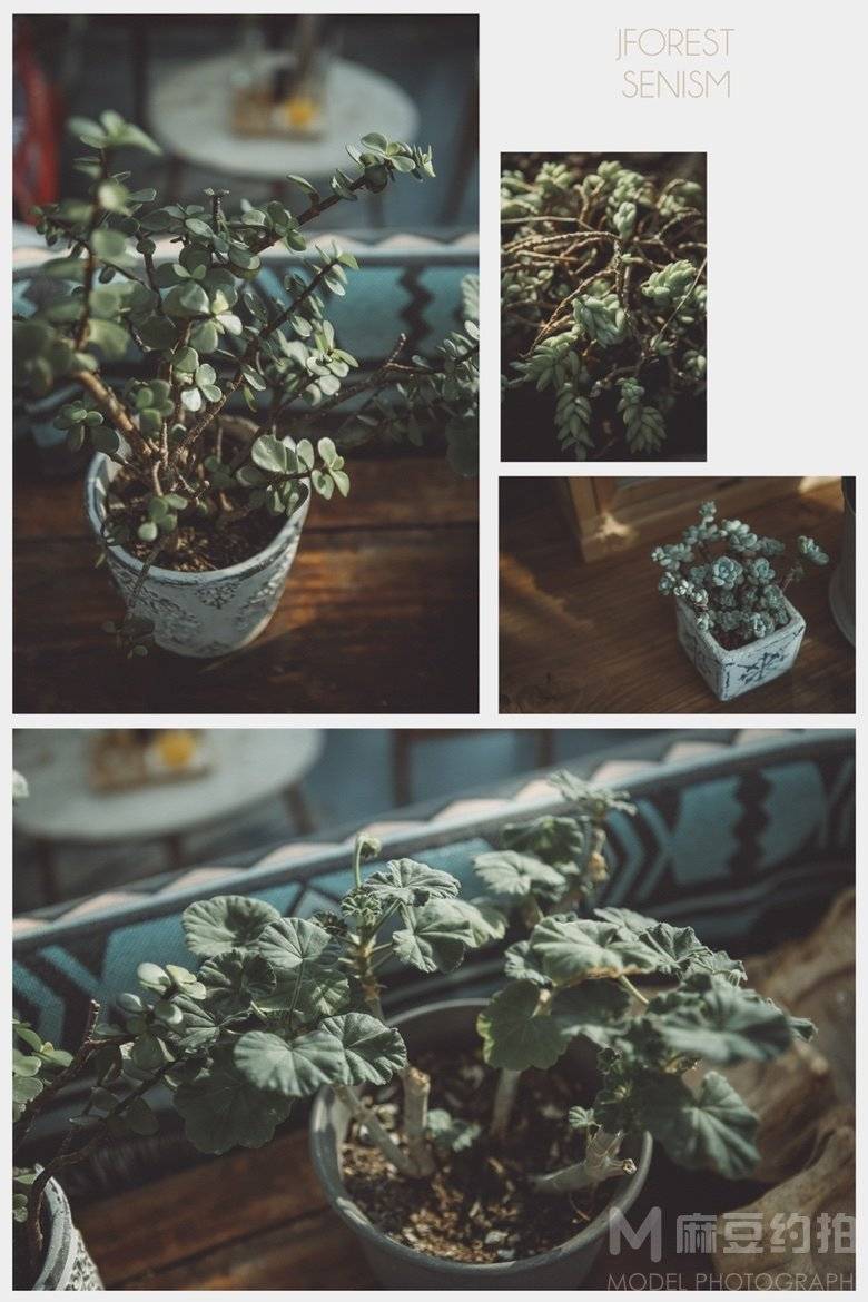 胶片模特