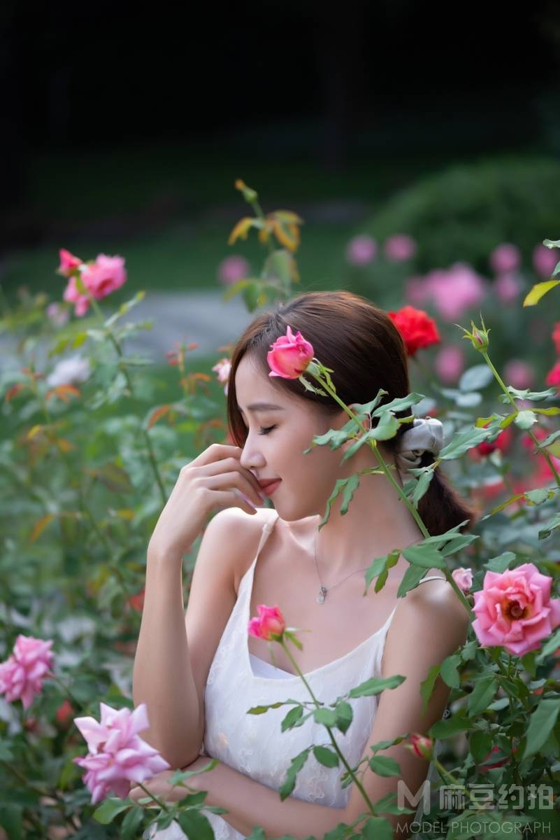 清新模特