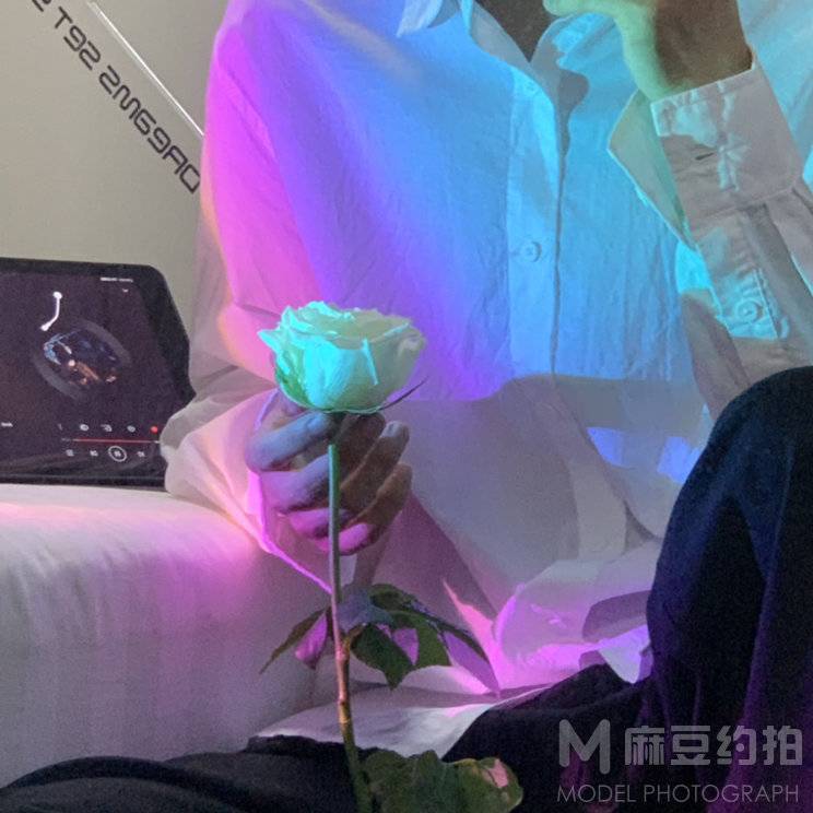 清新模特