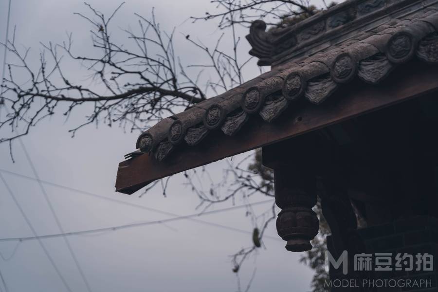纪实模特