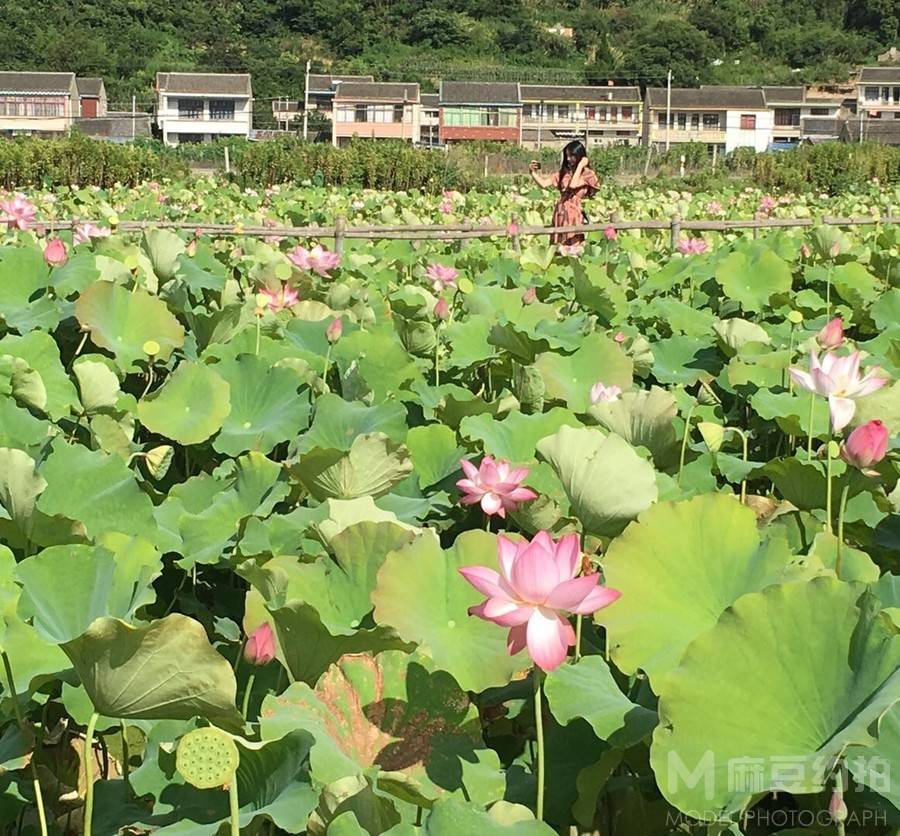 私房模特