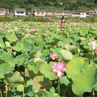 私房模特