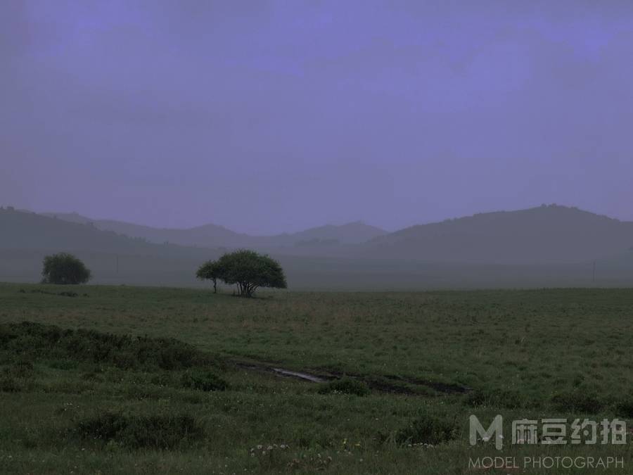胶片模特