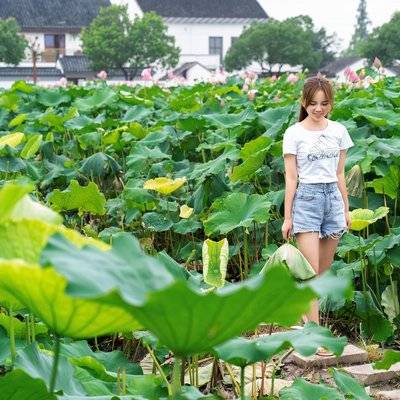 韩系模特