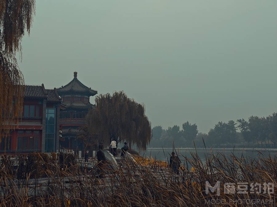 纪实模特