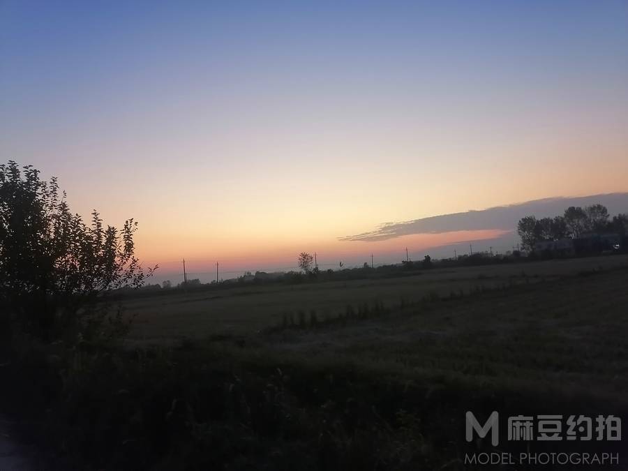 胶片模特