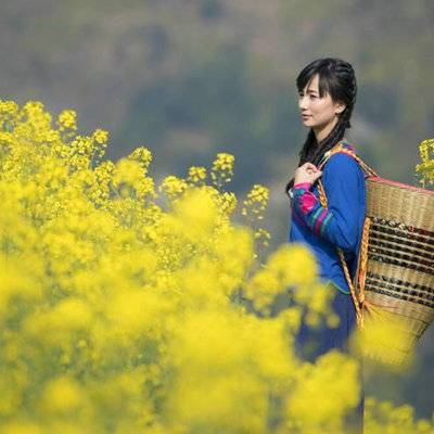 清新模特