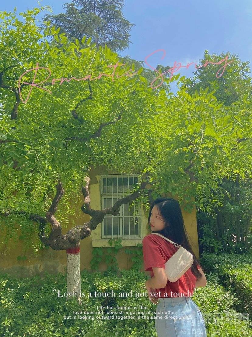 清新模特