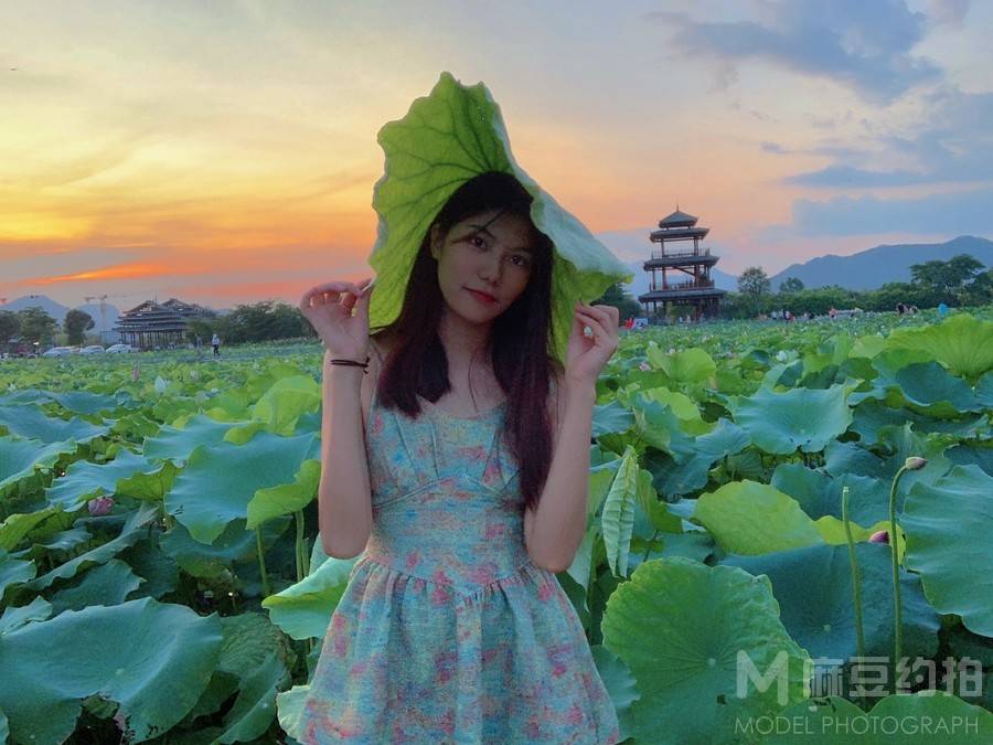 清新模特