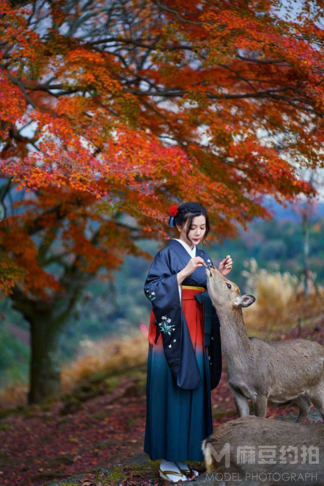 和服模特
