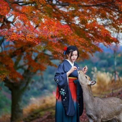 和服模特