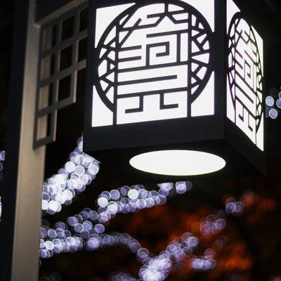 复古模特