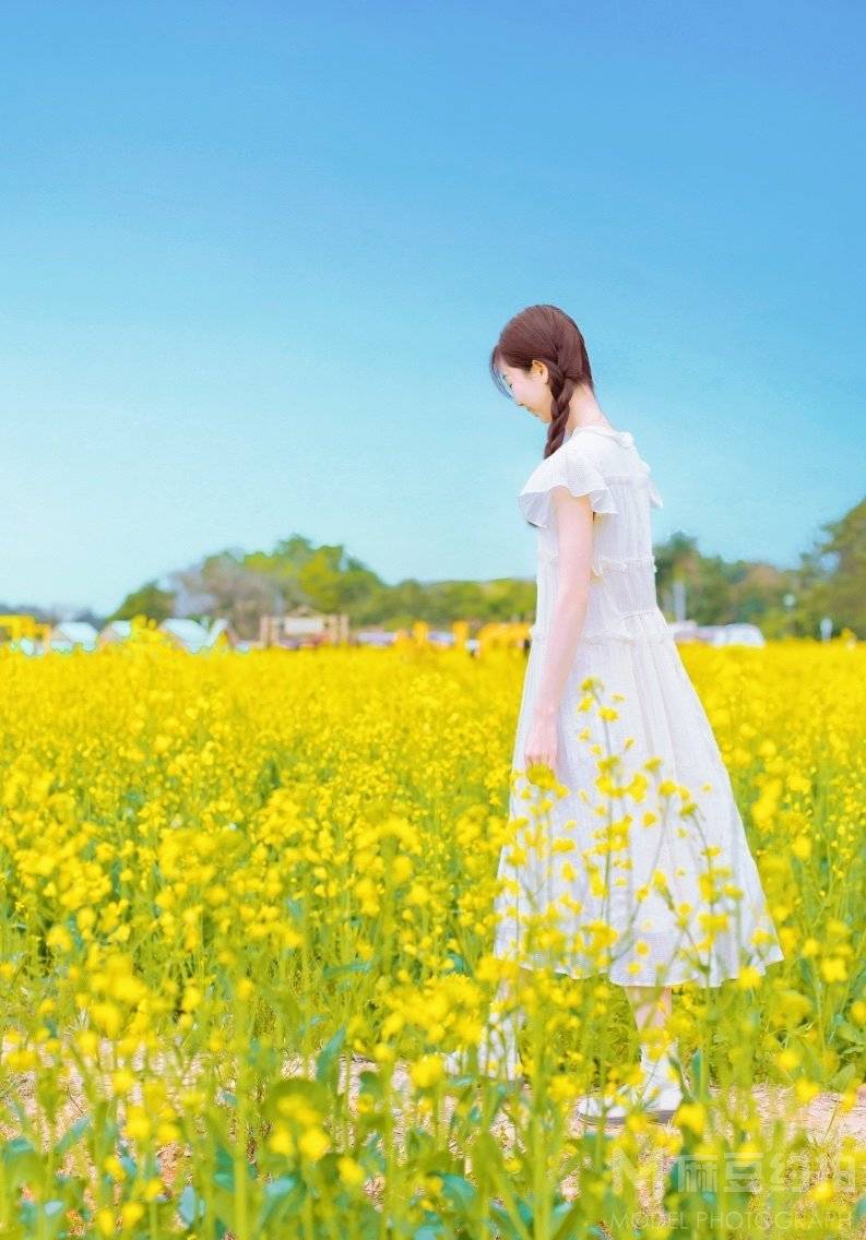 清新模特