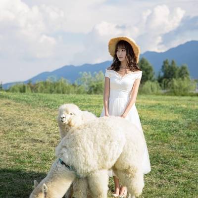 清新模特